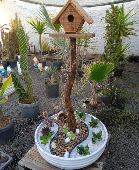 WhatsApp Image 2025-09-04 at 16.06.03