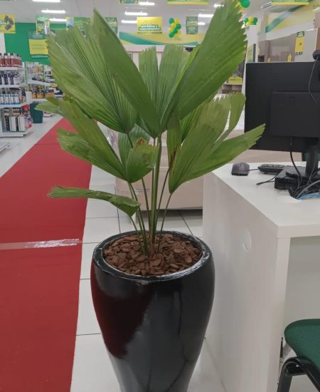 WhatsApp Image 2025-09-04 at 16.06.11