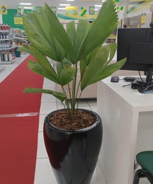 WhatsApp Image 2025-09-04 at 16.06.11